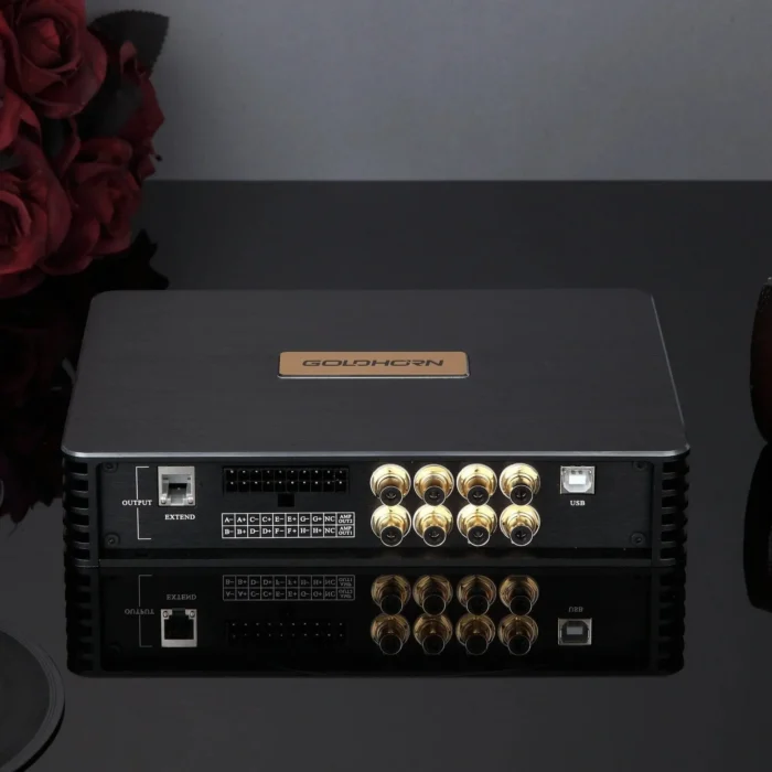 Amplificador con DSP Goldhorn DSPA 816 PRO - Imagen 4